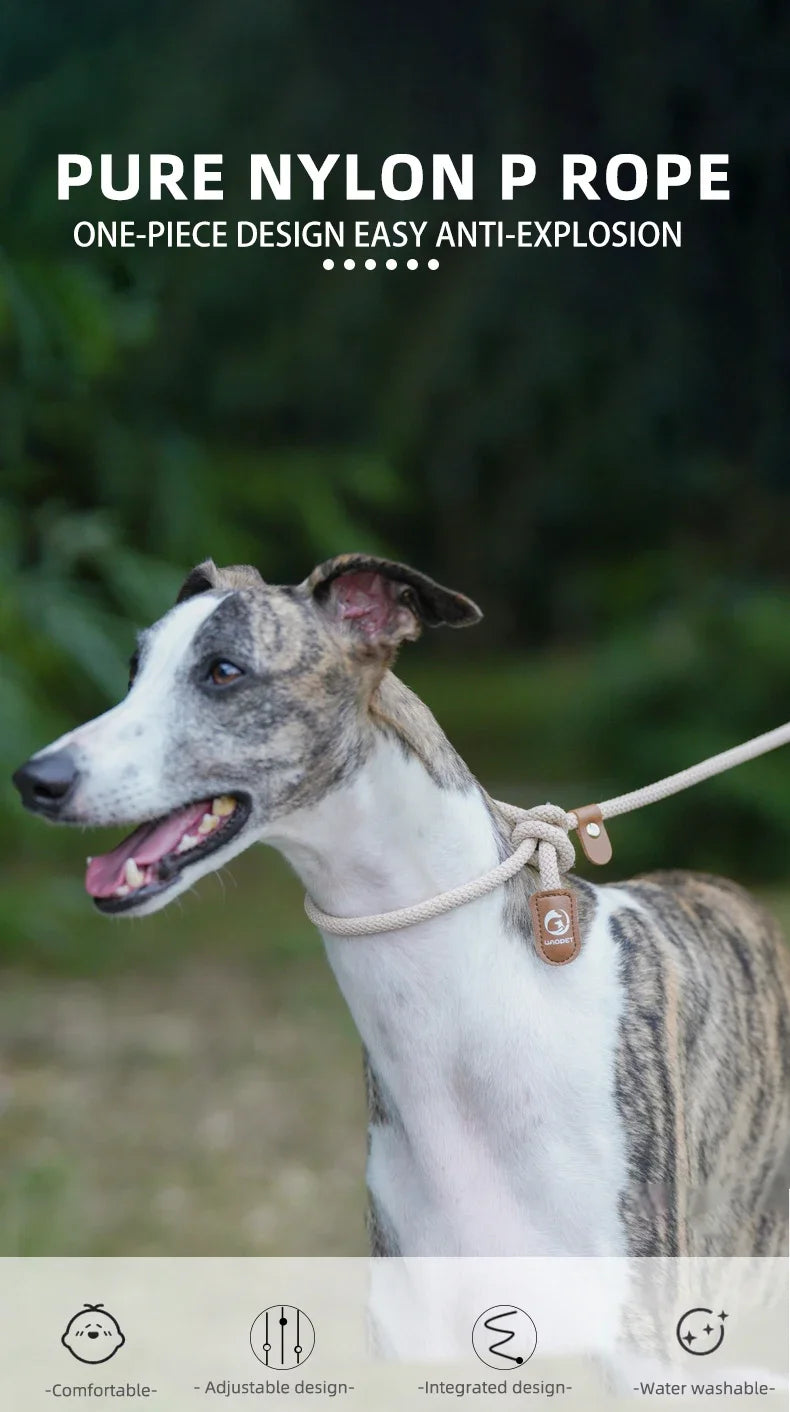 Hands-Free Dog Running Leash with Waist Belt and Adjustable Harness