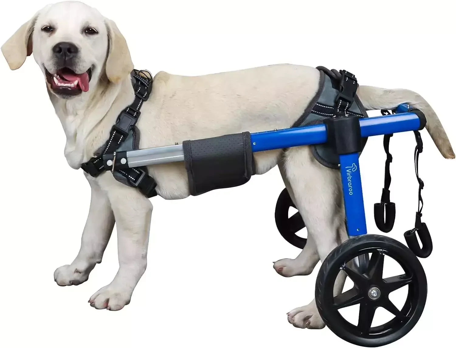 Adjustable Dog Wheelchair for Back Legs – Large Size with All-Terrain Wheels