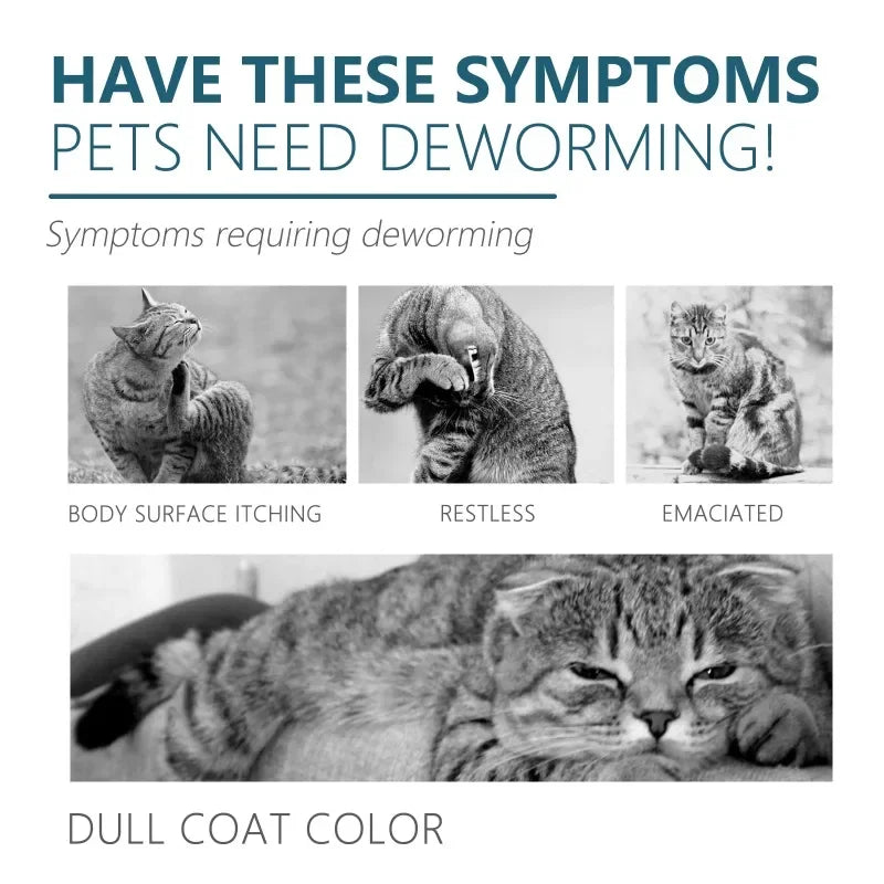 50ml Pet Anti-Flea and Tick Agent – External Deworming Solution for Cats and Dogs