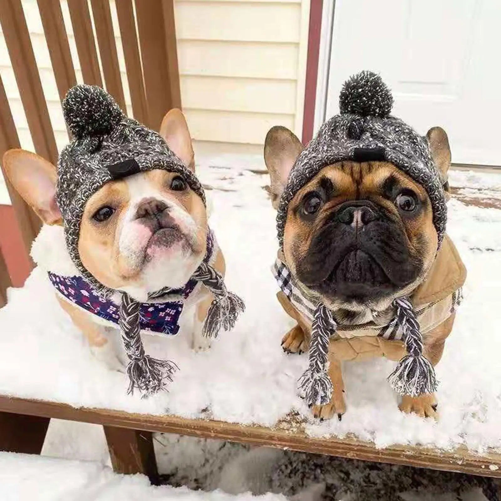 Winter Warm Knitted Dog Hat – Windproof Pet Beanie with Fluffy Pom for Small & Medium Dogs