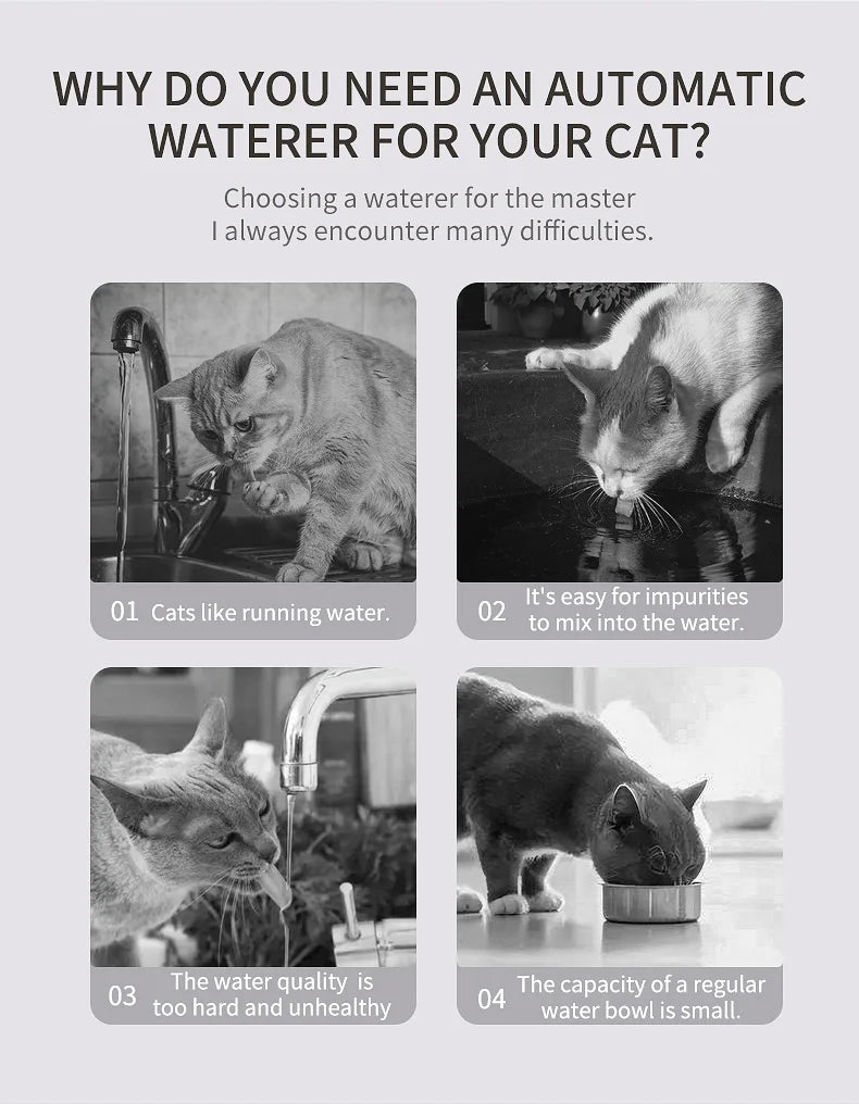 3L Automatic Cat Water Fountain – Large Capacity 101oz Pet Dog Water Dispenser with Circulating Filter & Quiet Pump