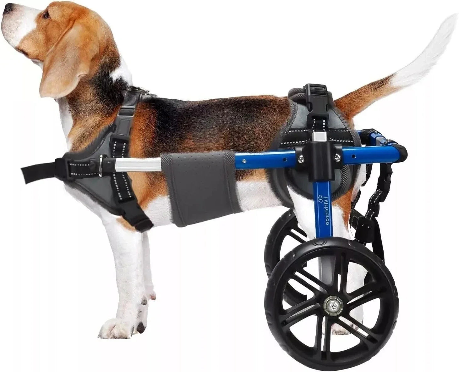 Adjustable Dog Wheelchair for Back Legs – Large Size with All-Terrain Wheels