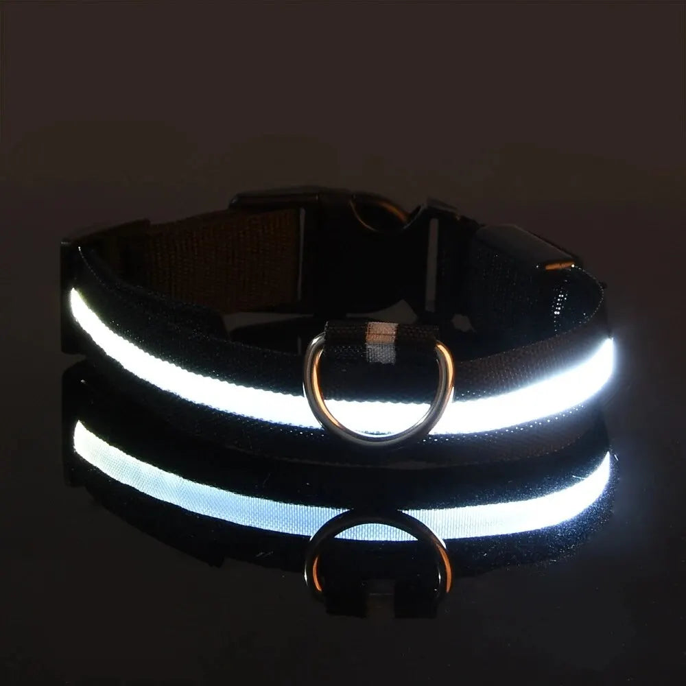 LED Dog Leash & Collar – Nylon Glow-in-the-Dark Safety Set for Night Walks