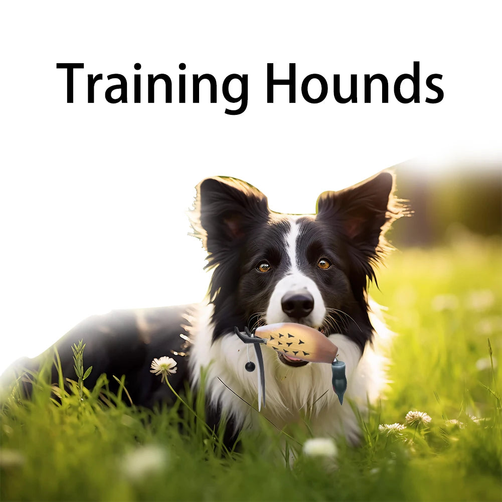 Pheasant Dummy Bumper Toy – Hunting Dog Training Aid for Retrievers & Gundogs | Duck Recognition & Retrieval Practice