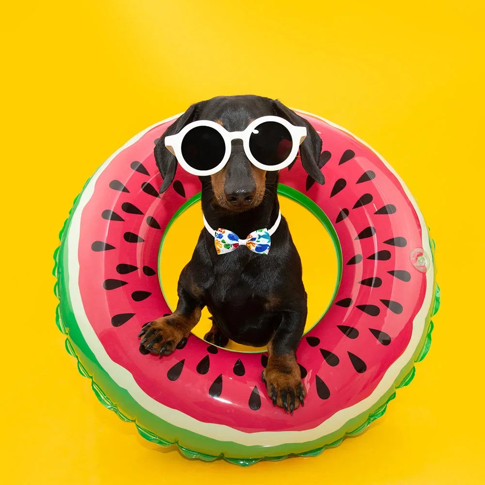 20PCS Summer Dog Bow Tie Set – Handmade Adjustable Collar Accessories for Dogs & Cats | Pet Grooming & Fashion Supply