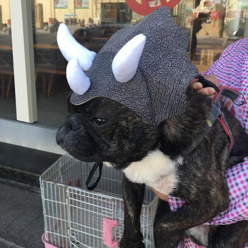 Triceratops Dinosaur Pet Hat – Costume Headgear for Cats & Dogs