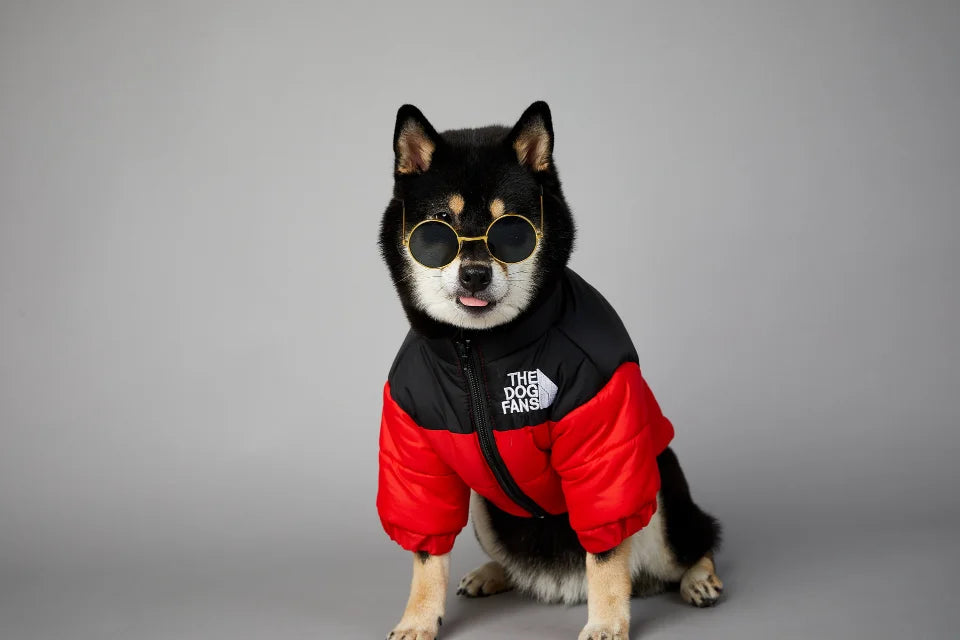 . Dog Fans Winter Pet Down Jacket – Thick Warm Coat for Small & Medium Dogs