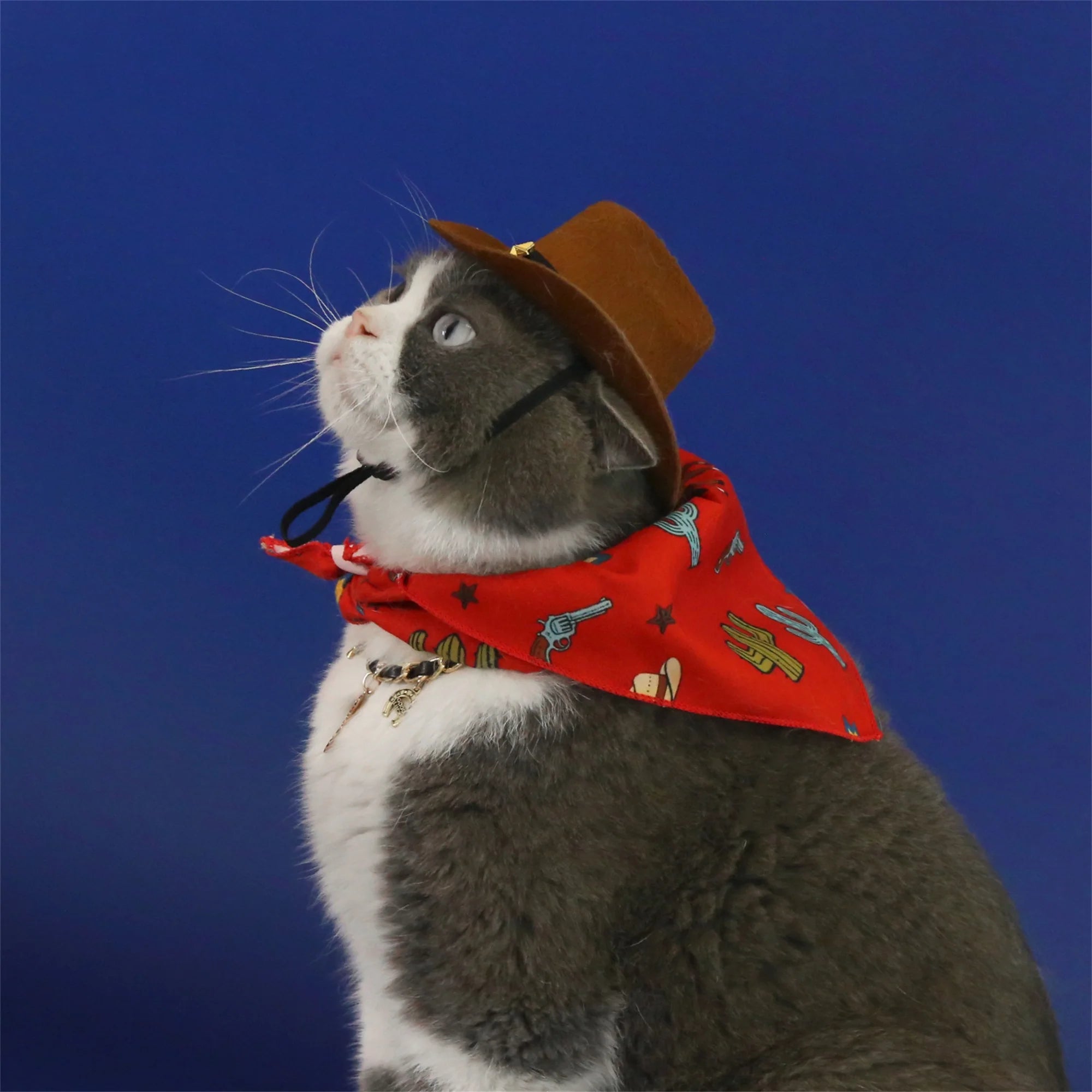 Dog Cowboy Costume – Wild West Hat & Paisley Bandana Set for Small Pets Halloween