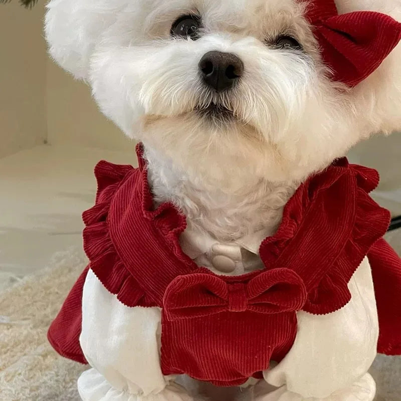 Winter Puppy Princess Dress – Warm Bow Knot Dog Dress Set with Hair Clip