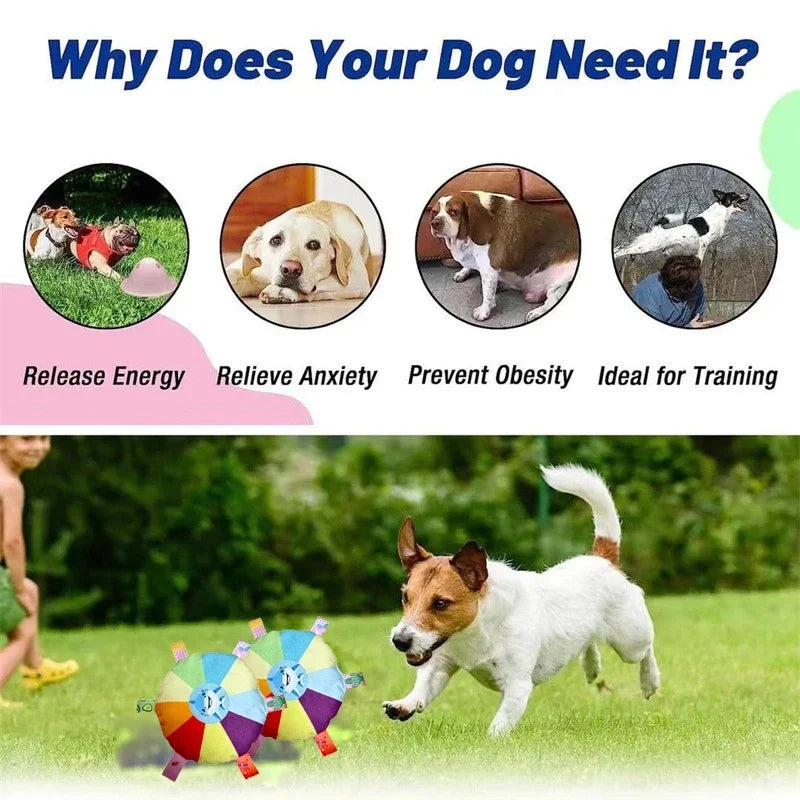 Funny Rainbow Plush Flying Saucer Dog Toy – Interactive Flying Disc for Outdoor Training & Chewing