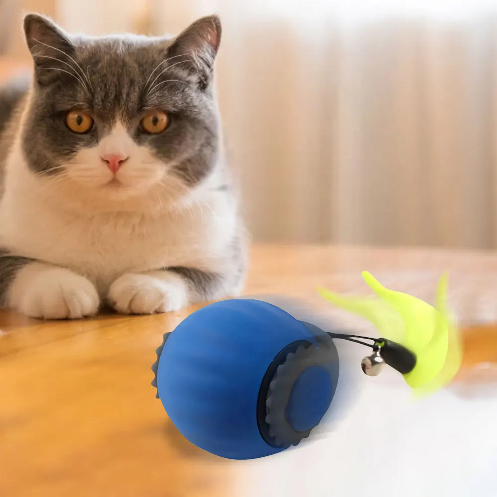 Interactive Cat Toy Ball – USB Rechargeable Automatic Rolling Self-Rotating Ball, Anti-Depression Toy for Indoor Cats