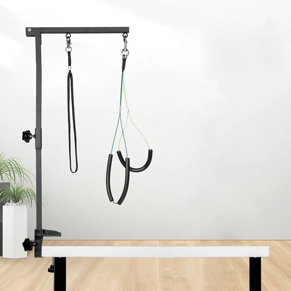 Stainless Steel Dog Grooming Stand with Adjustable Arm & Restraint Rope