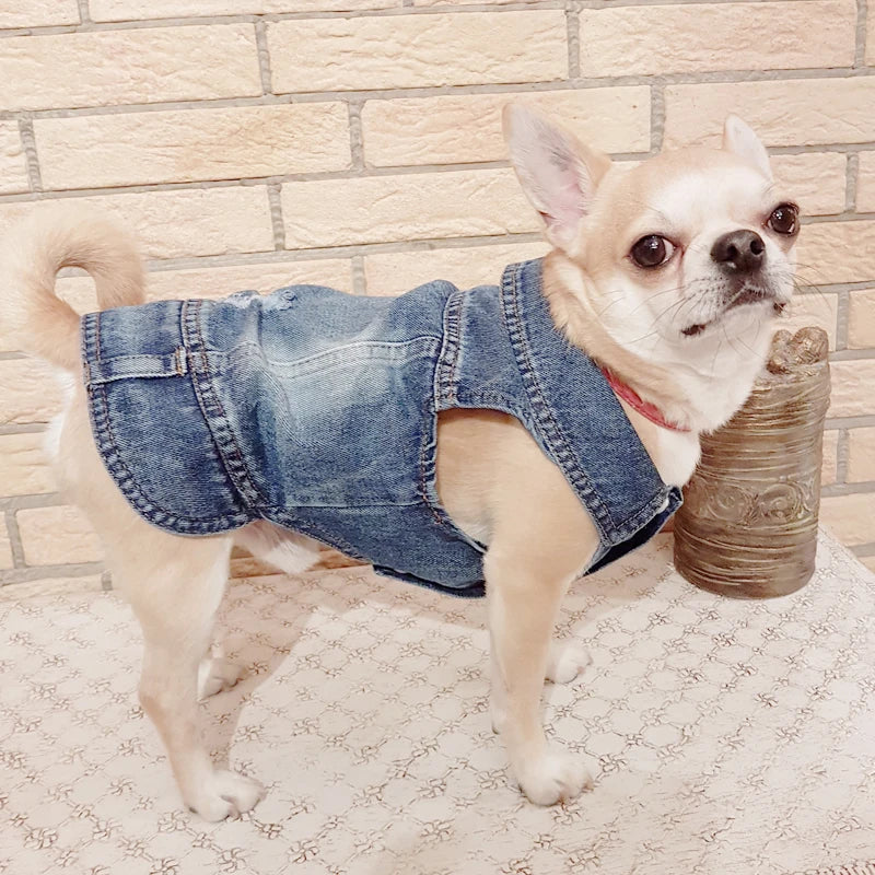 Denim Dog Jacket – AXS–2XL Cowboy Style Jean Vest Coat for Small Dogs & Cats