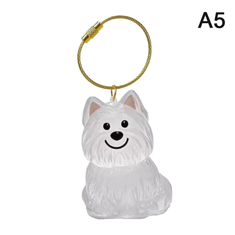 Dog Fur Keepsake Capsule – Clear Pet Hair Memorial Keychain, DIY Pendant & Home Display Gift
