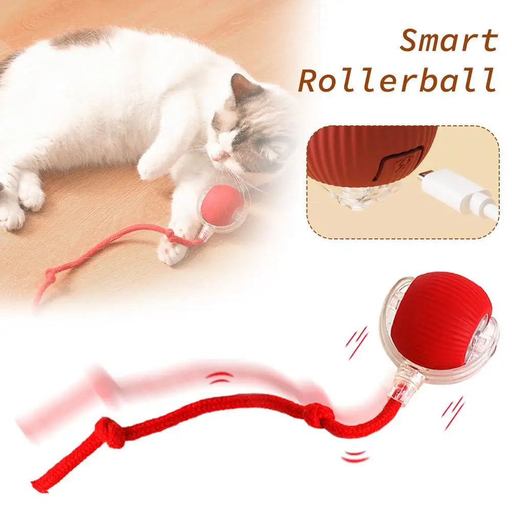 Rechargeable Automatic Cat Ball Toy – Smart Rolling Ball with Faux Tail for Interactive Play