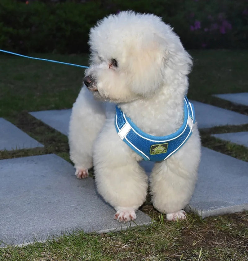 Reflective Pet Harness and Leash Set – No Pull Dog Vest with Breathable Mesh for Dogs & Cats