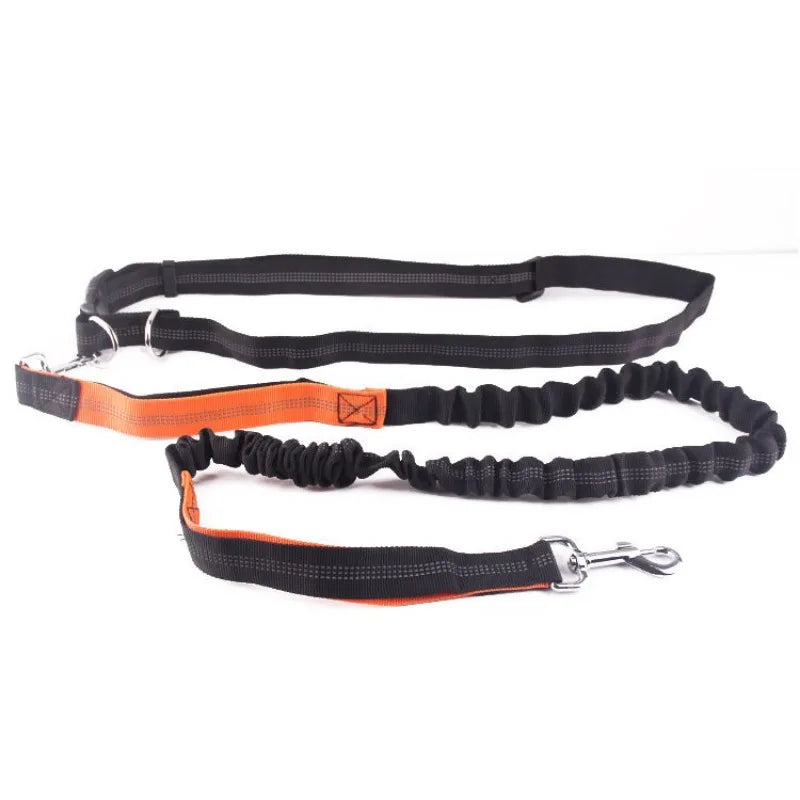 Hands-Free Dog Leash with Waist Belt – Adjustable for Walking, Running & Jogging