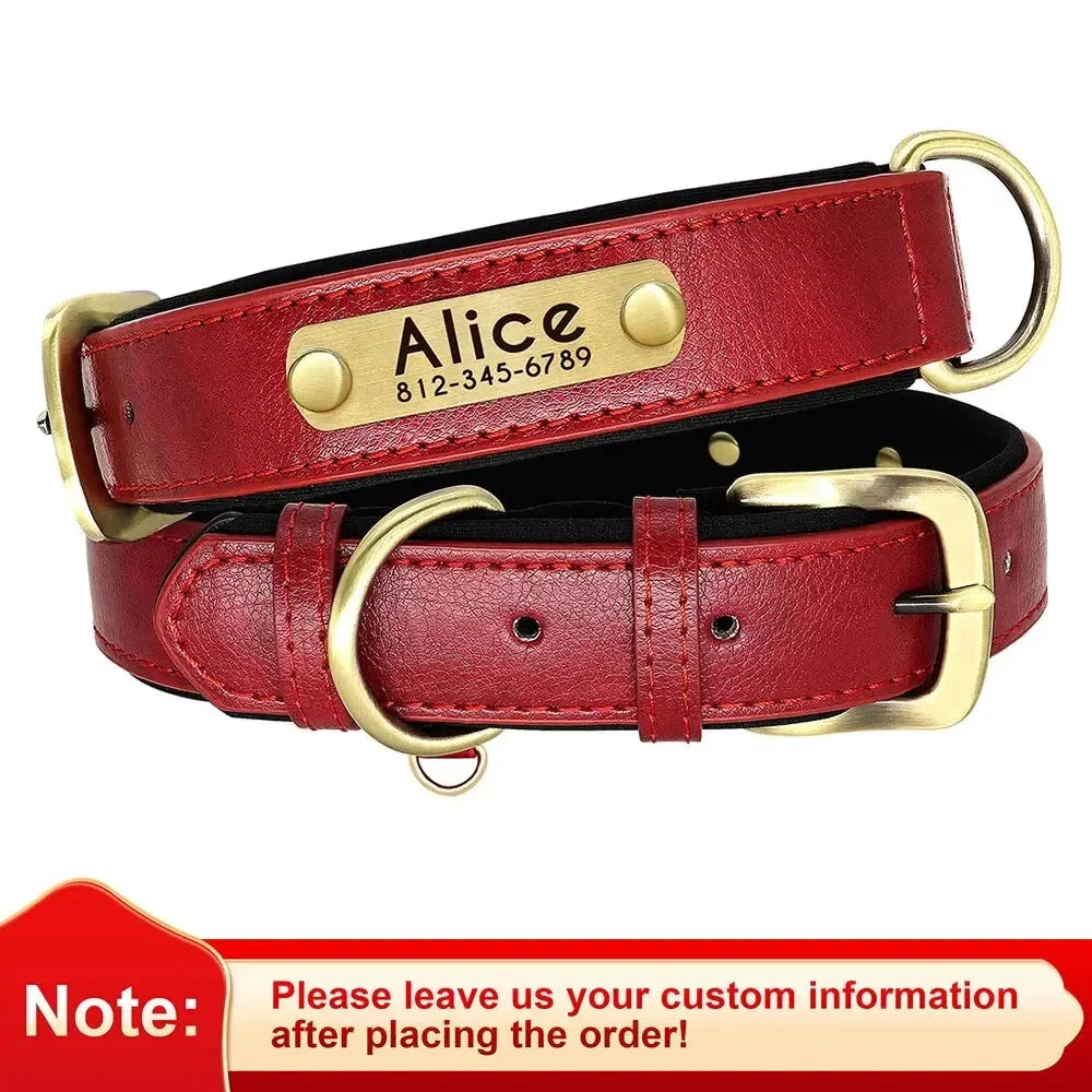 ersonalized Leather Dog Collar with Engraved ID Nameplate – Soft Padded Custom Collar for Small, Medium & Large Dogs