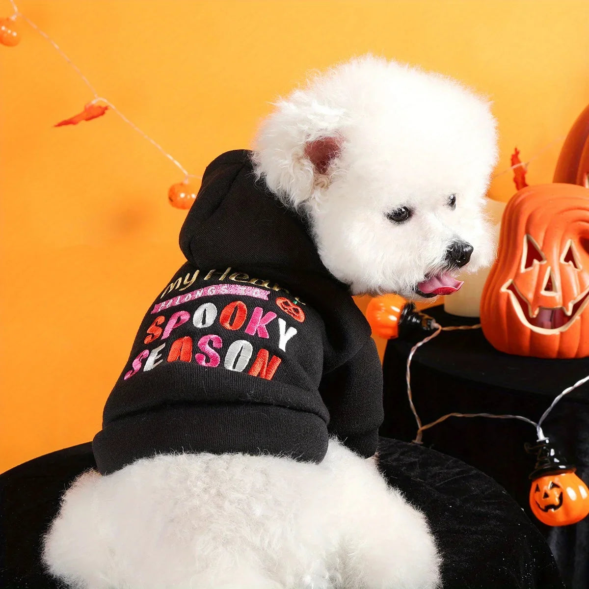 Thriller Season Halloween Hoodie – Dog & Cat Black Pet Sweater with English Embroidery