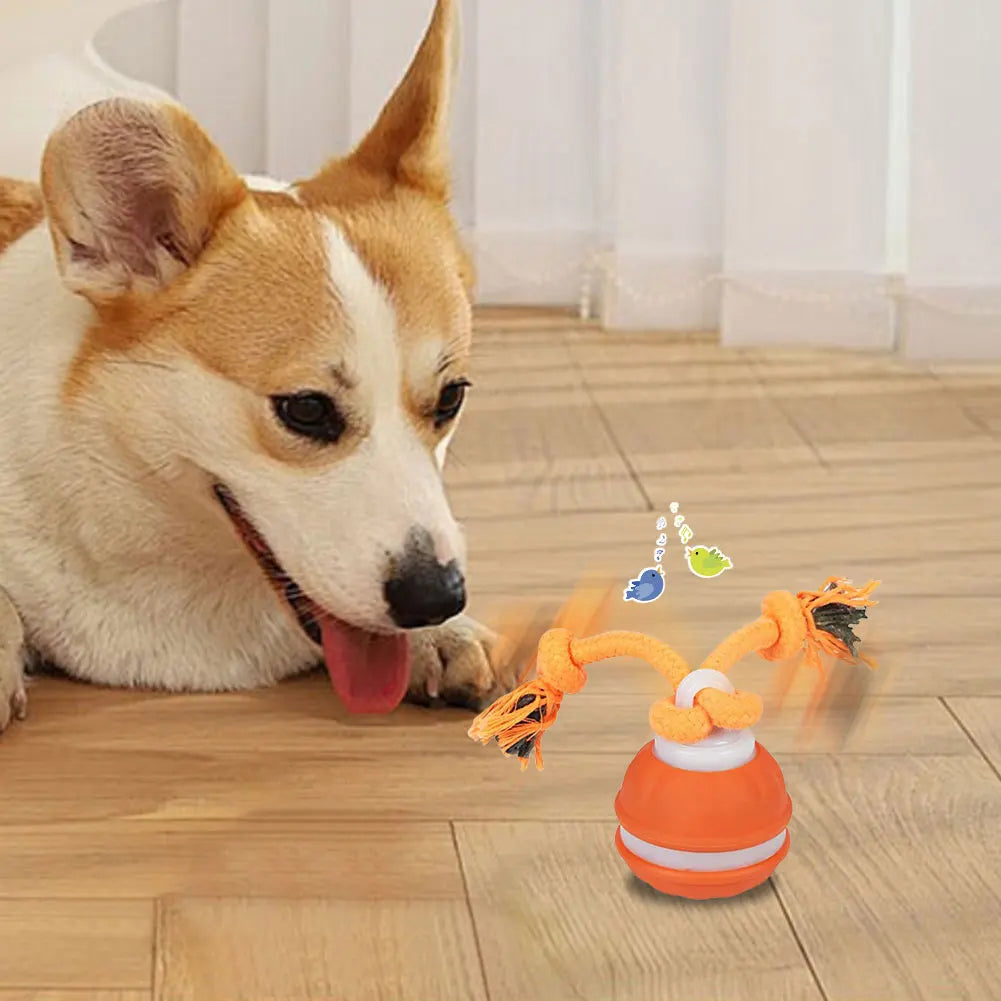 Interactive Dog Toy Ball – USB Rechargeable Motion-Activated Ball with Rope & Squeaker for Small & Medium Dogs, Puppy Play Toy