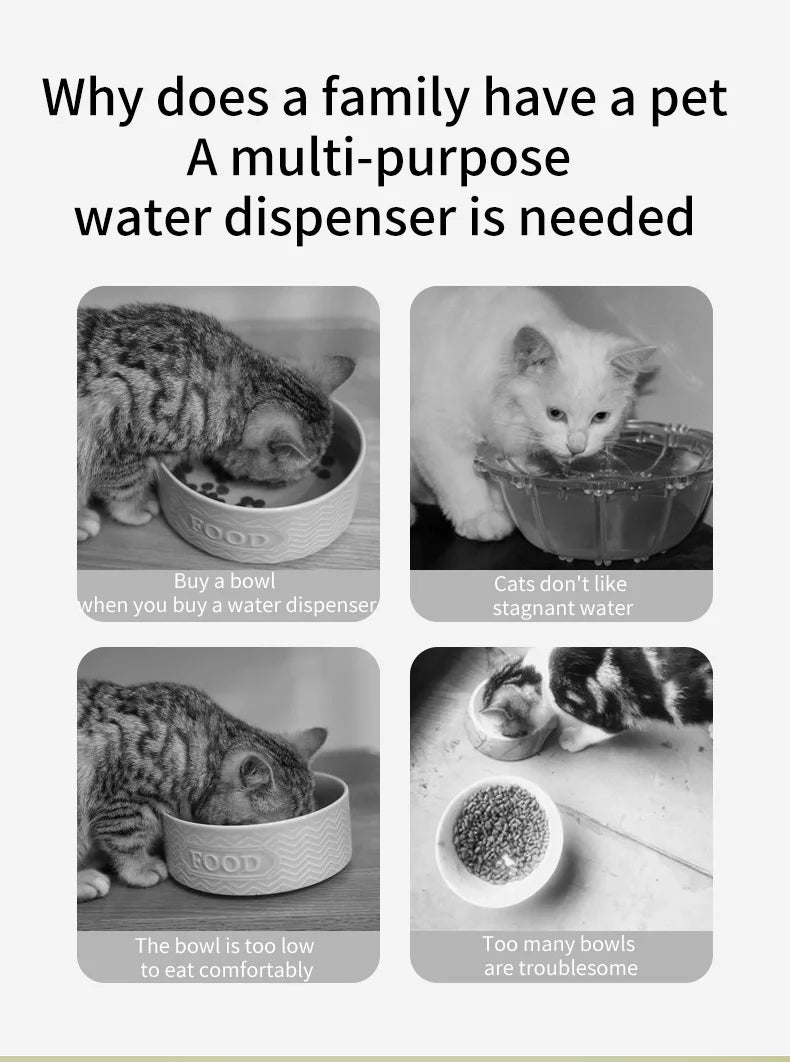 2-in-1 Cat Water Fountain & Feeding Bowl – 3L Automatic Recirculating Pet Dispenser