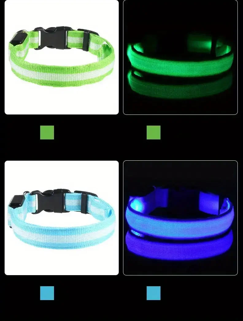 LED Dog Leash & Collar – Nylon Glow-in-the-Dark Safety Set for Night Walks