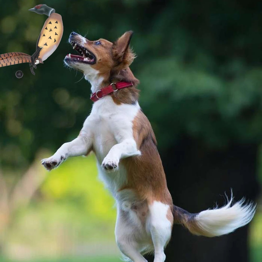 Pheasant Dummy Bumper Toy – Hunting Dog Training Aid for Retrievers & Gundogs | Duck Recognition & Retrieval Practice