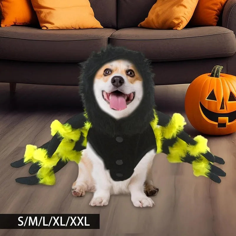 Spider Pet Costume – Funny Halloween Outfit for Dogs & Cats