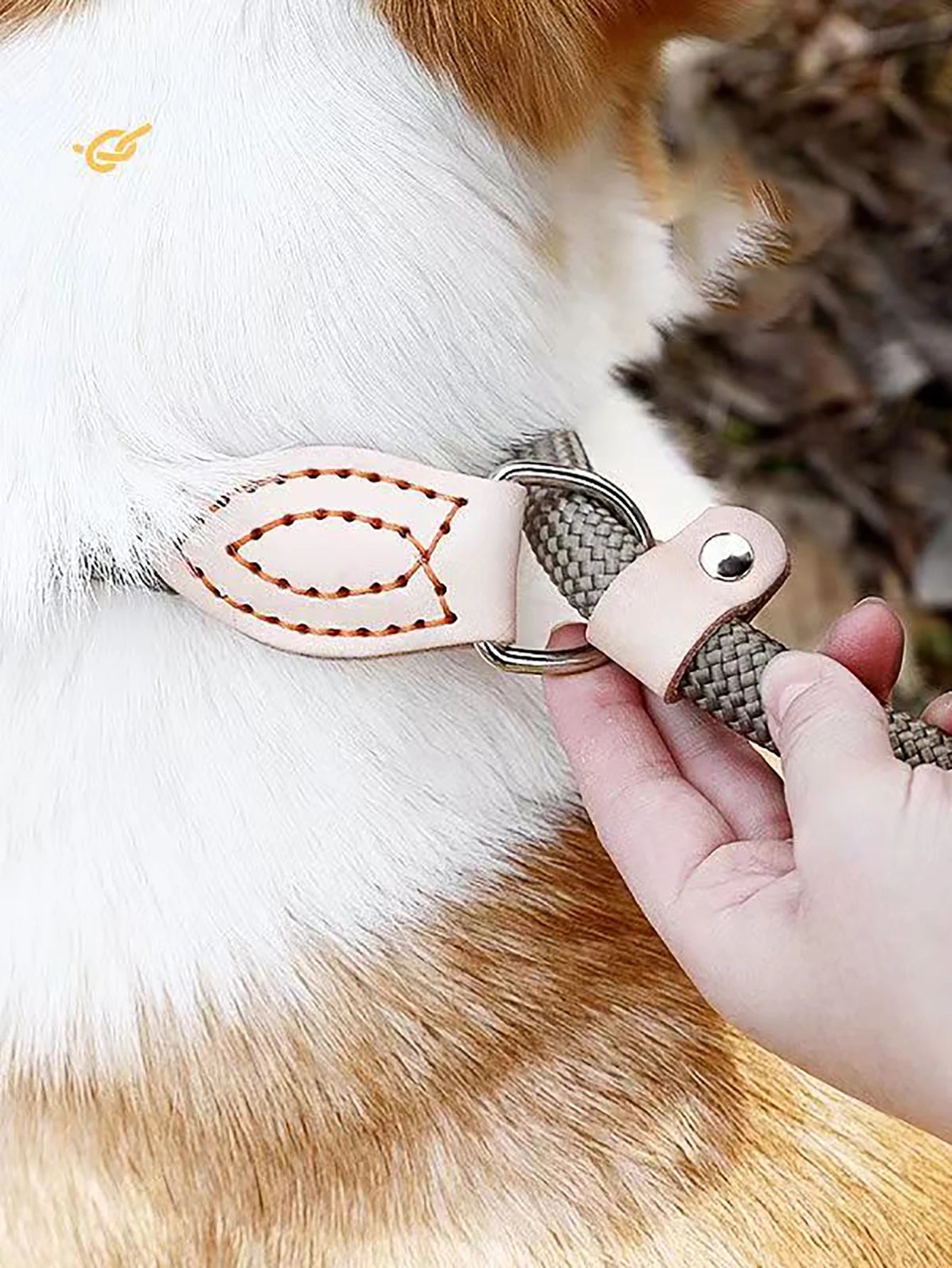 No-Pull Rope Slip Collar – P-Shaped Dog Training Leash with Durable Leather Joints & Adjustable Metal Buckle