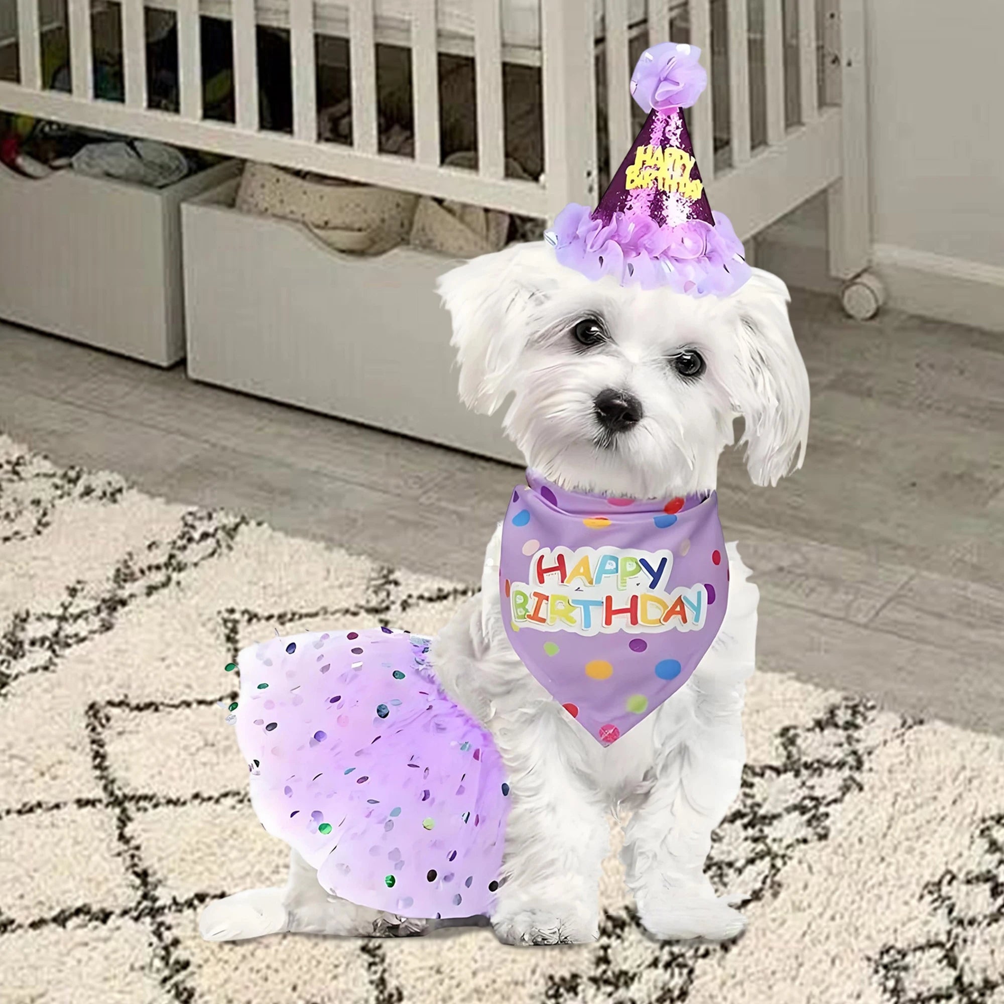 Dog Birthday Costume Set – Party Hat, Skirt & Scarf Outfit for Dogs & Cats