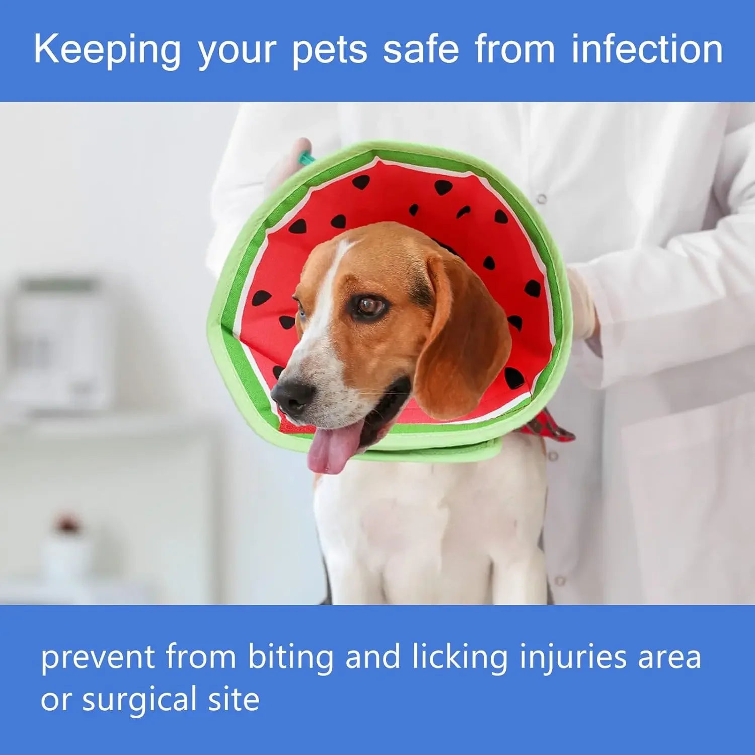Adjustable Soft Recovery Collar for Dogs & Cats – Lightweight Elizabethan Cone