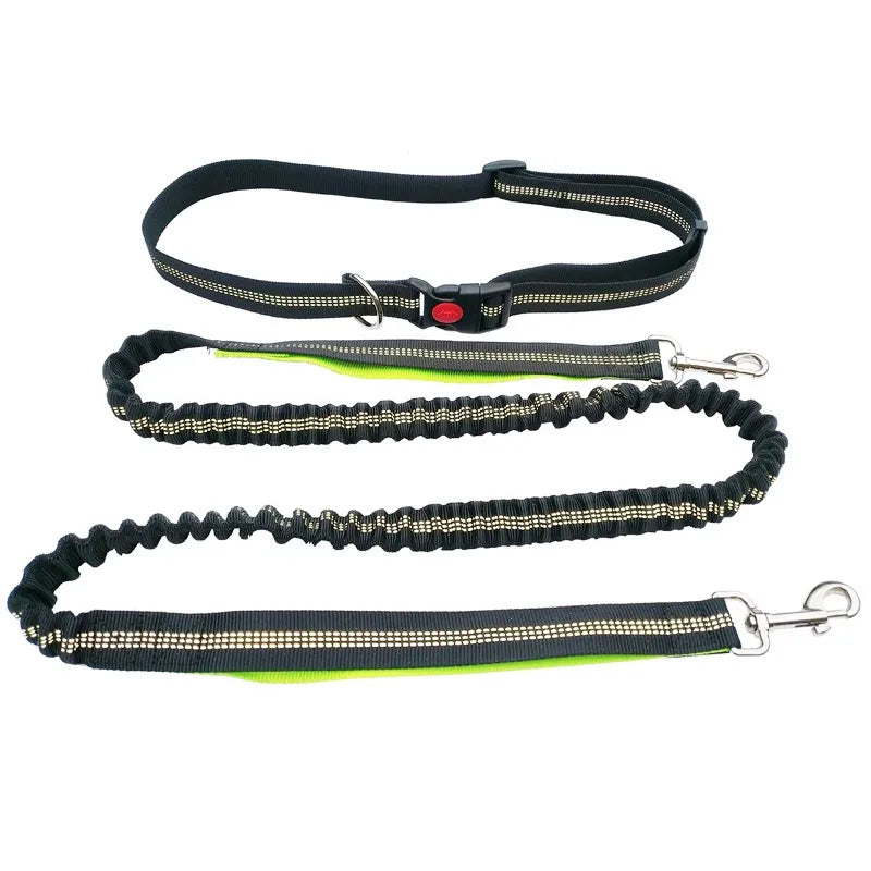 Hands-Free Dog Leash with Waist Belt – Adjustable for Walking, Running & Jogging