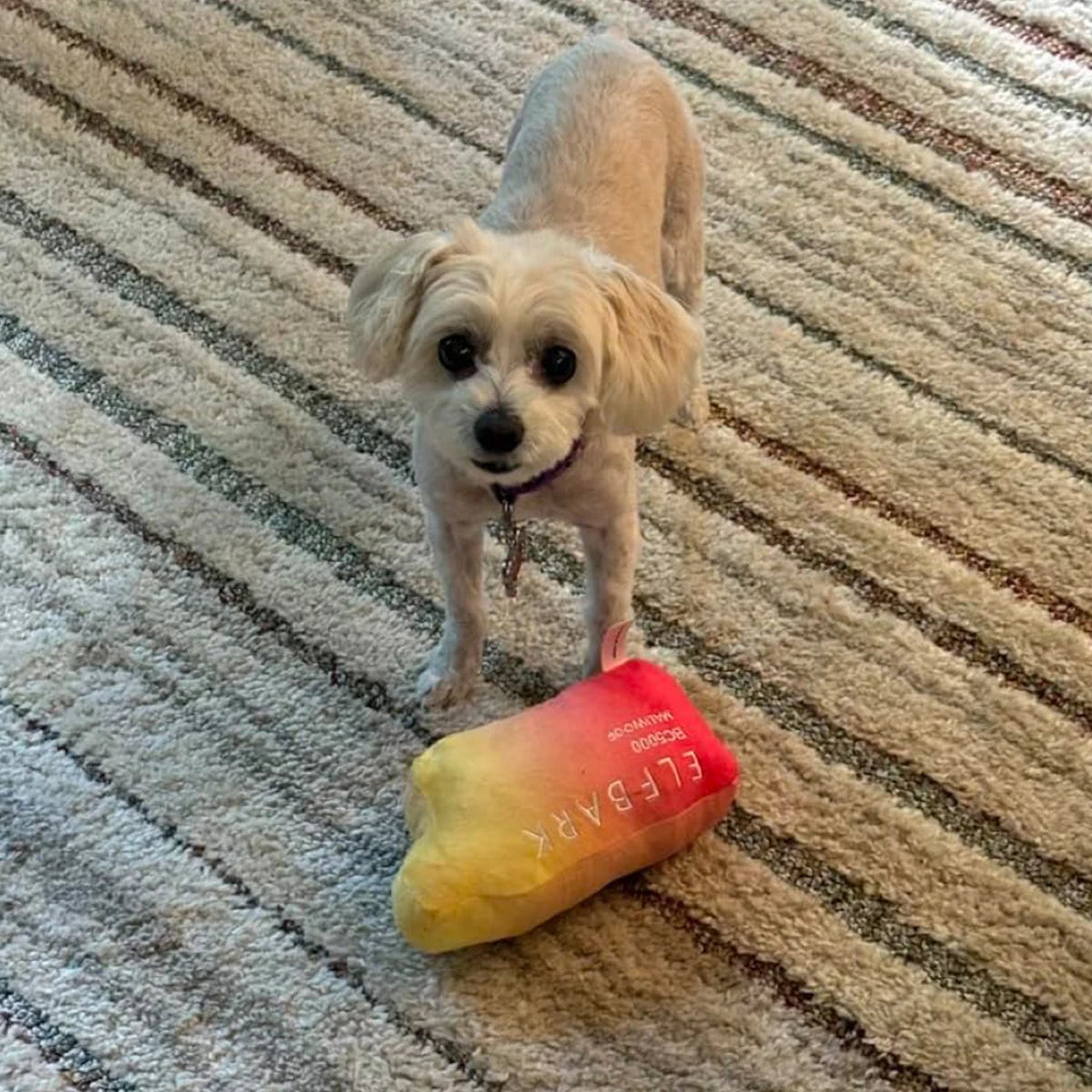 Funny Squeaky Dog Toys – Cute Parody Plush Toys for Small, Medium & Large Dogs