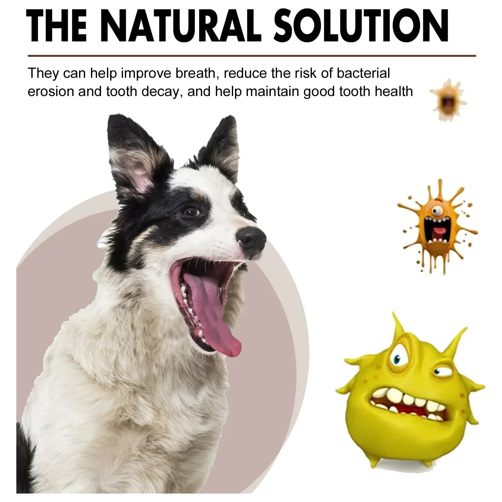 Pet Dental Care Spray – 30ml Oral Cleaning & Breath Freshener for Dogs and Cats | Deodorizing Tooth Cleaning Spray