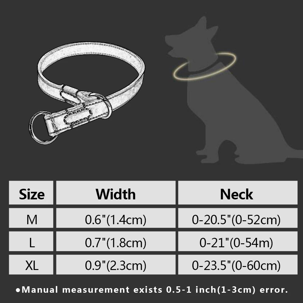 Durable Real Leather Slip Collar – Choke Training Dog Collar for Medium & Large Breeds (Black/Brown)