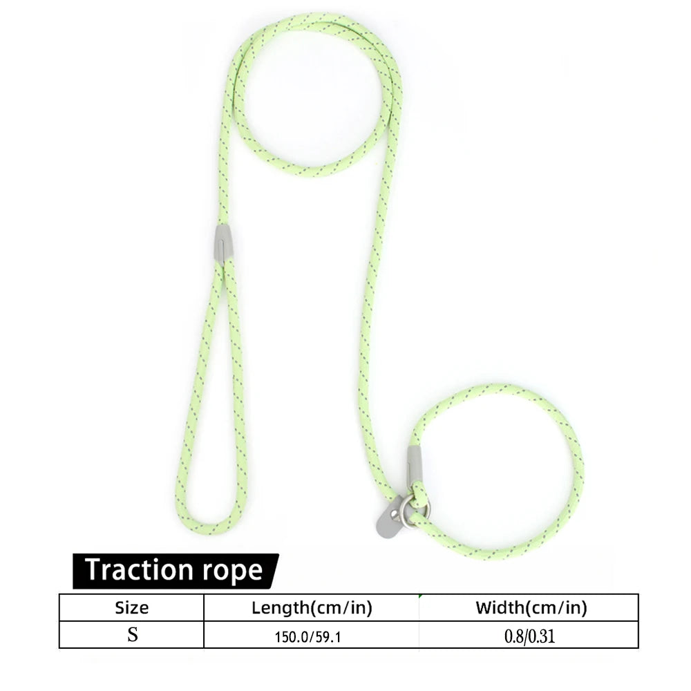 2-in-1 Classic Dog Collar and Leash Set – Adjustable Black Mesh P Rope Nylon Training Harness with Slip Strap