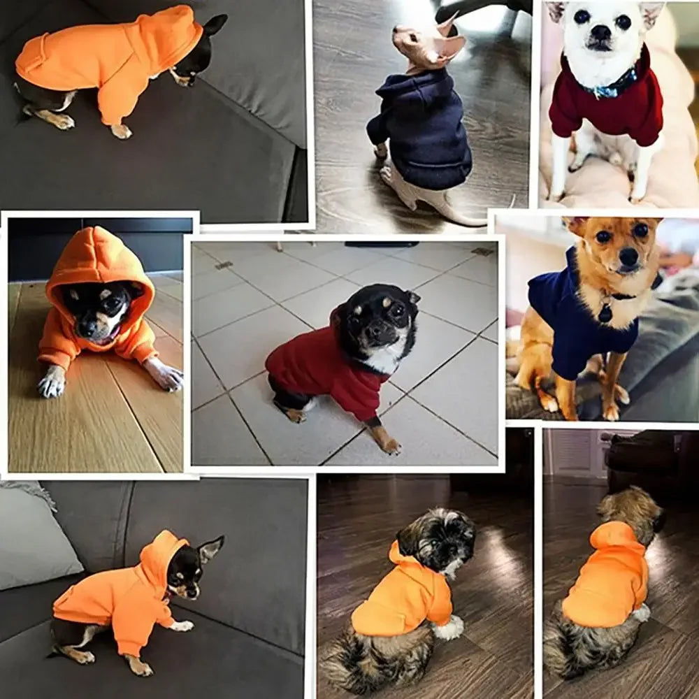 Puppy Pet Hooded Sweatshirt – Two-Legged Autumn/Winter Outfit with Pocket for Cats & Dogs