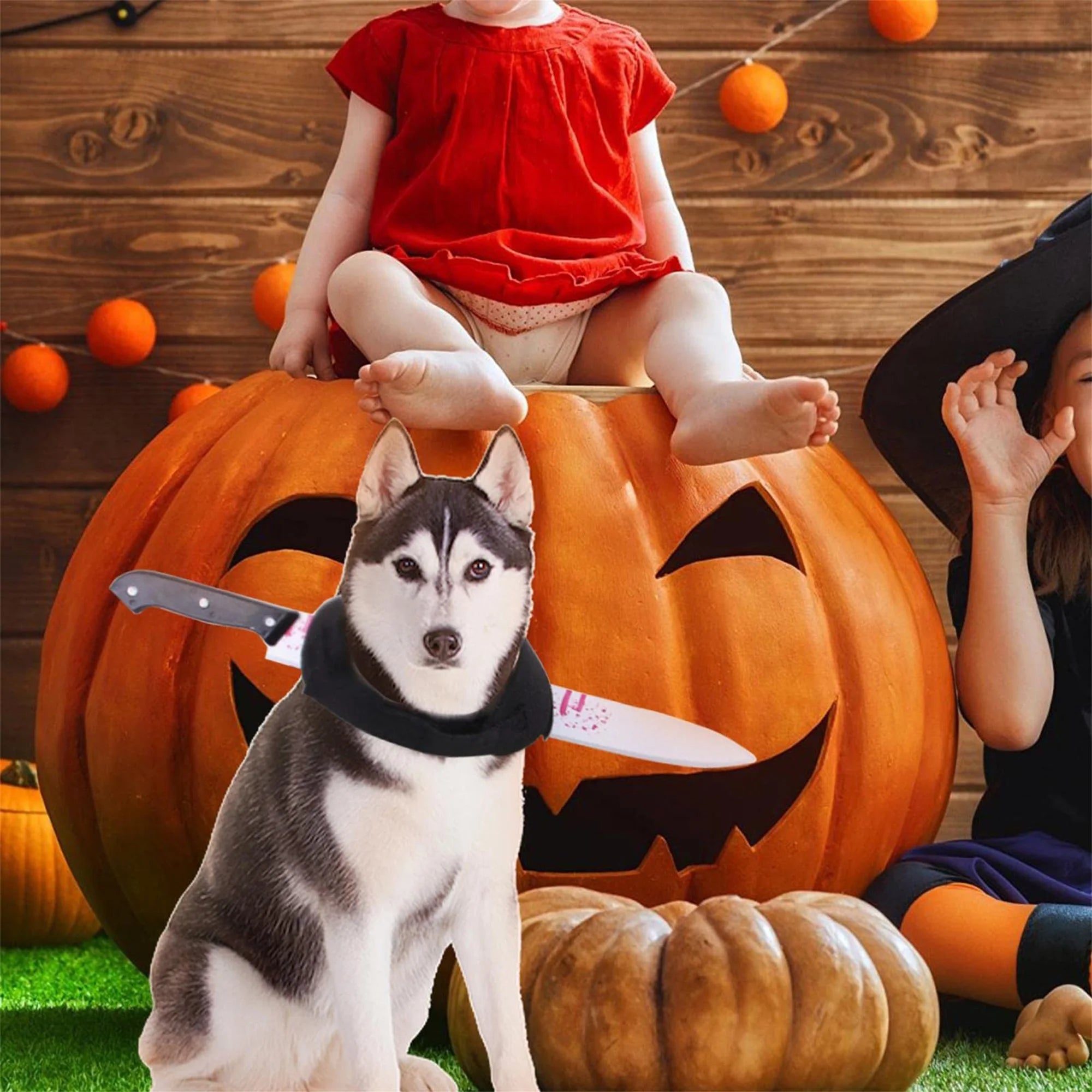 Funny Shark Hat Costume – Halloween Pet Outfit for Small Dogs & Cats