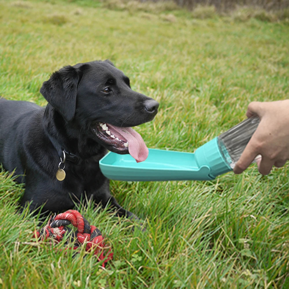 Outdoor Portable Dog Water Bottle – Leakproof Travel Pet Drinking Bowl for Small & Large Dogs