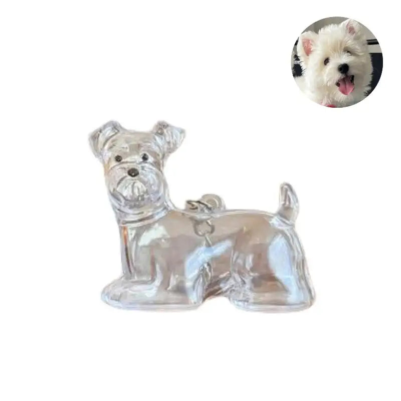 Cute Dog Hair Storage Keychain Transparent Pet Fur Keepsake Capsule Bag Pendant Decor Souvenir Collection Gift Memorial Jewelry