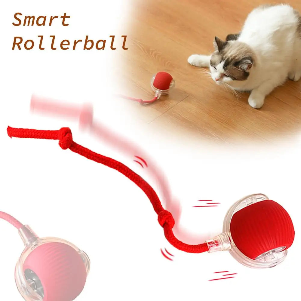 Rechargeable Automatic Cat Ball Toy – Smart Rolling Ball with Faux Tail for Interactive Play