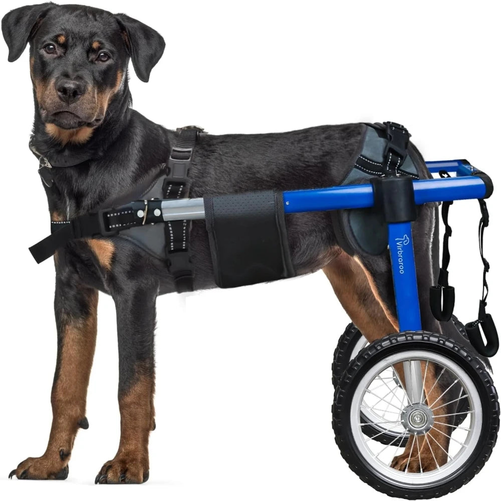 Adjustable Dog Wheelchair for Back Legs – Large Size with All-Terrain Wheels