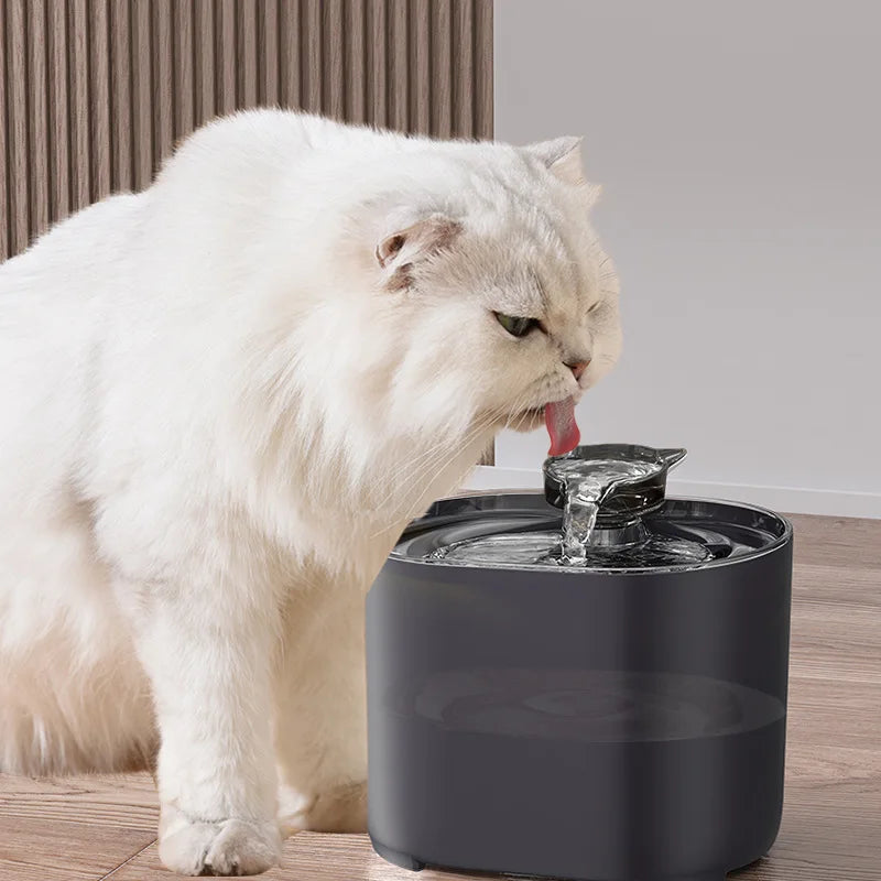 Cat Water Fountain – USB Quiet Pump, Automatic Recirculating Pet Water Dispenser for Cats & Small Dogs with Filter