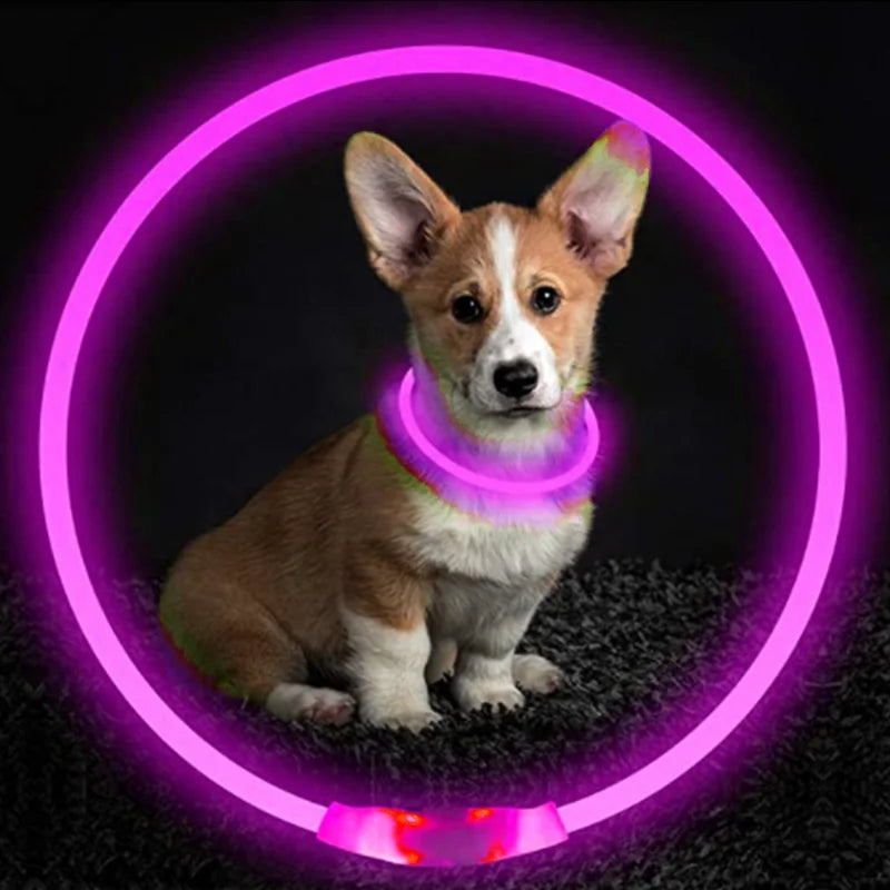 USB Charging LED Luminous Dog Collar – Adjustable Flashing Safety Light Necklace for Dogs & Cats