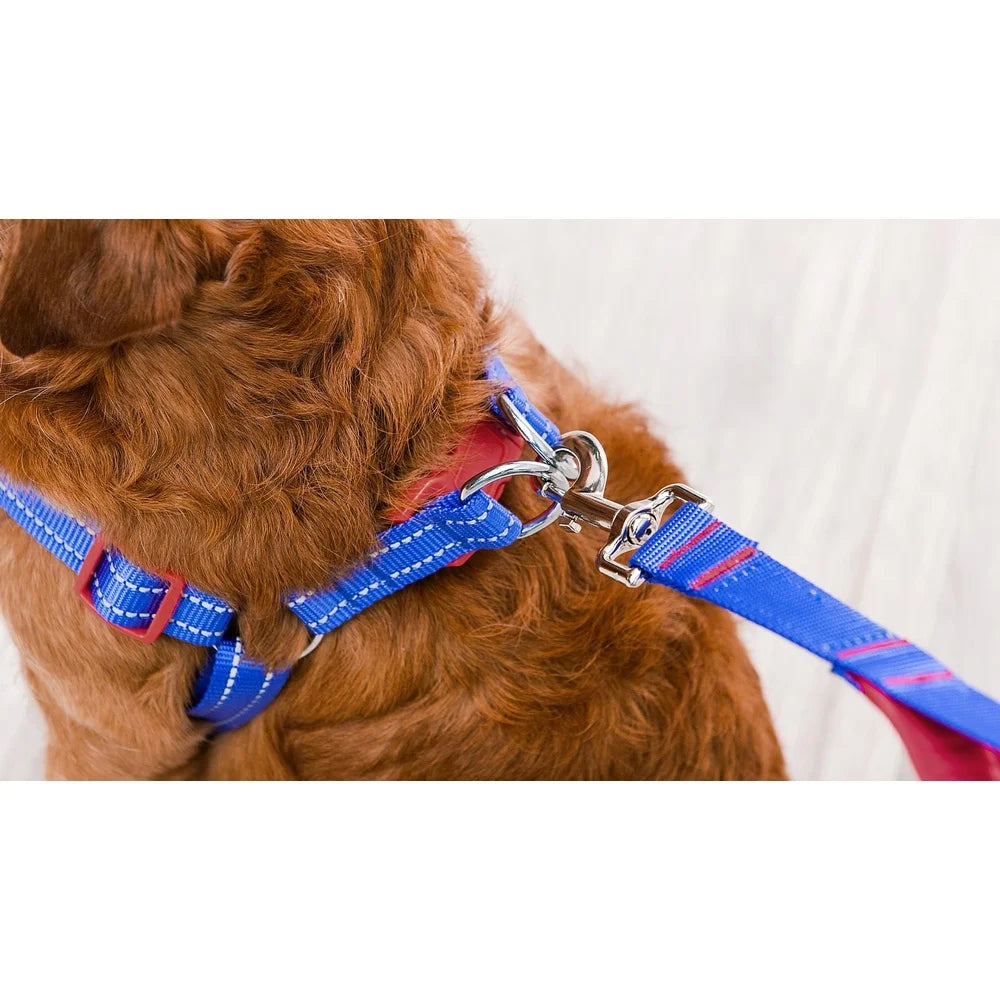 Adjustable Step-In Dog Harness – Breathable Mesh with Wide Chest Coverage & Secure Snap Buckle