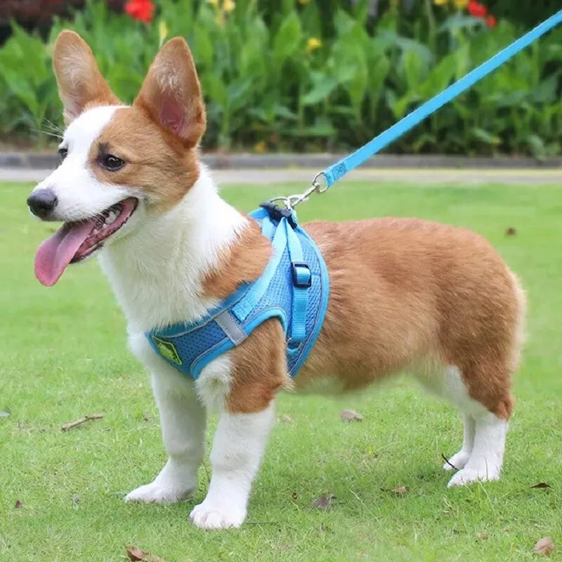 Reflective Pet Harness and Leash Set – No Pull Dog Vest with Breathable Mesh for Dogs & Cats