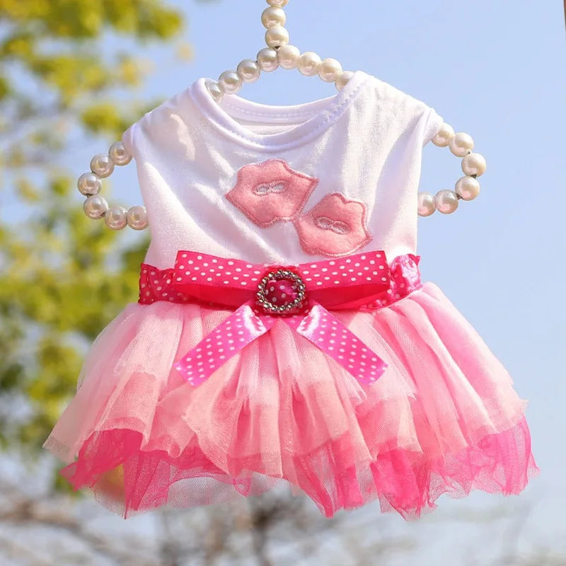 Princess Dog Dress – Lace Tutu Outfit for Small Dogs, Chihuahua & Puppy Apparel
