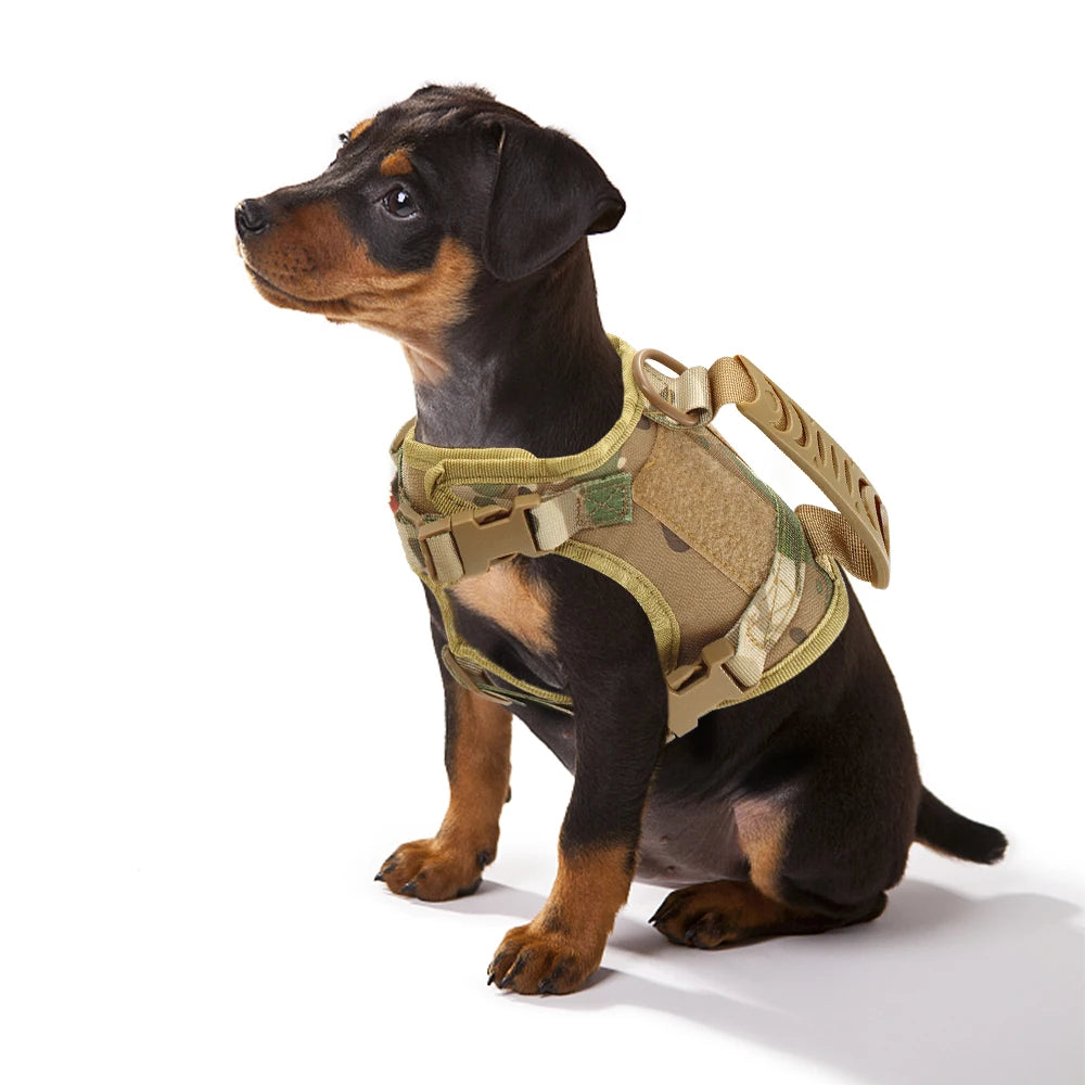 Tactical Cat Harness and Leash Set – Adjustable Vest with 9 Patches for Small Dogs and Cats