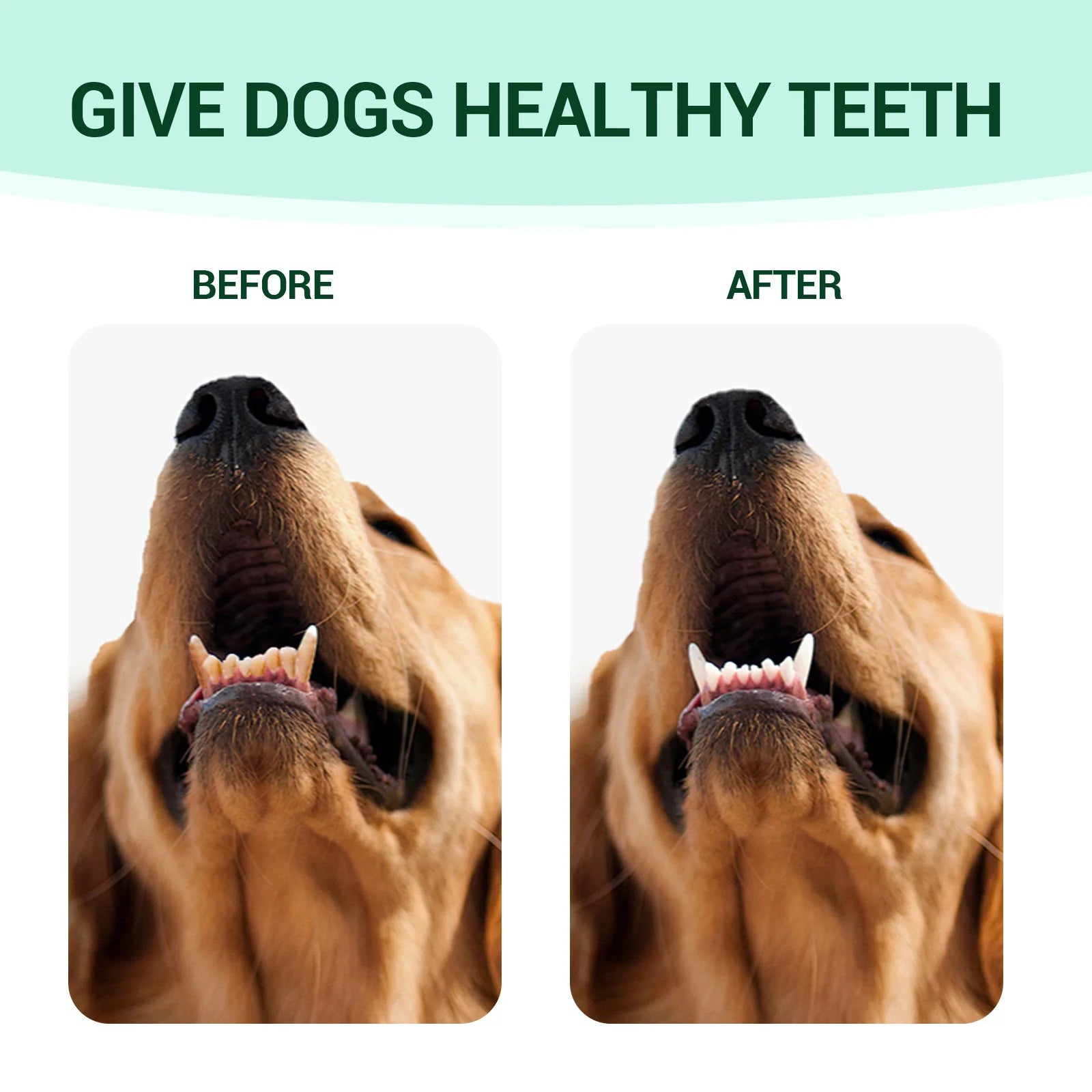 Pet Fresh Breath & Oral Care Solution – Dog & Cat Water Additive for Clean Teeth, Stain & Odor Removal, Earwax & Ear Odor Cleaner