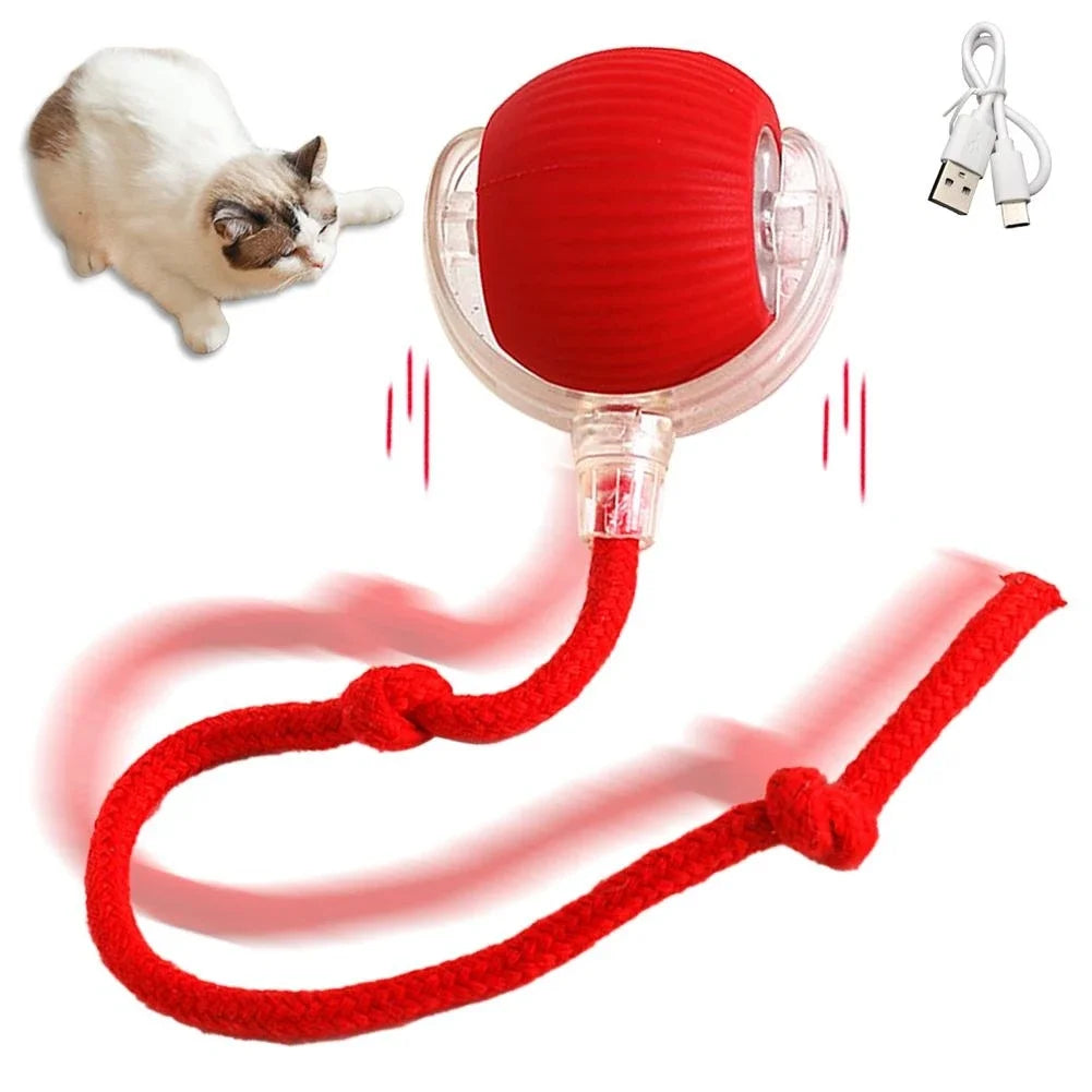 Rechargeable Automatic Cat Ball Toy – Smart Rolling Ball with Faux Tail for Interactive Play
